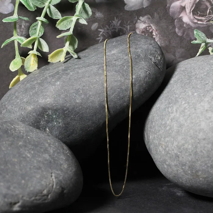 MayaMila Earrings 14k Yellow Gold Classic Box Chain 06mm