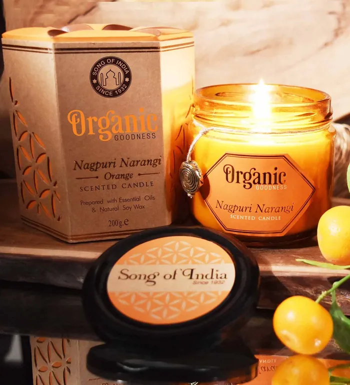 R ExpoSong of India Earrings Organic Goodness Candle Orange