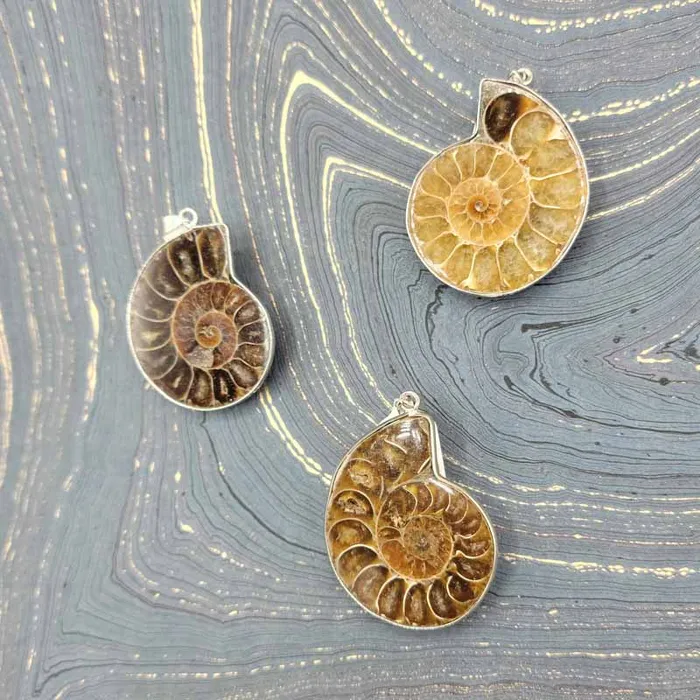 Spiral Circle Necklaces Ammonite Slices Pendant