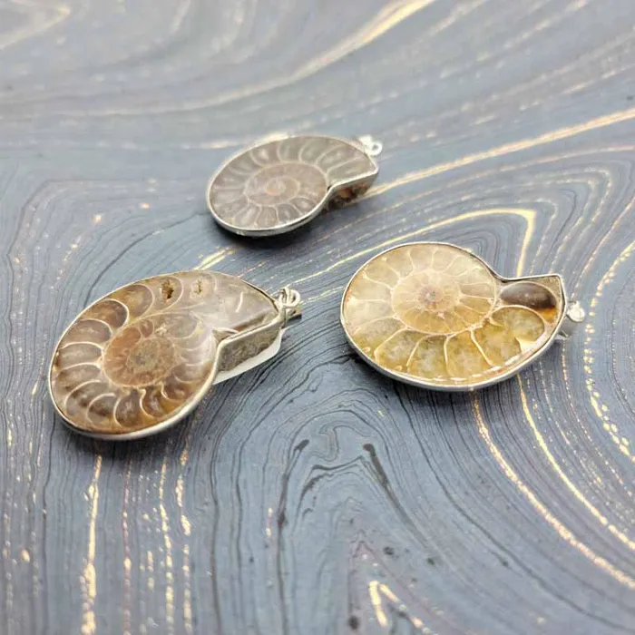 Spiral Circle Necklaces Ammonite Slices Pendant