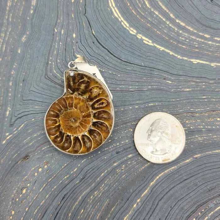 Spiral Circle Necklaces Ammonite Slices Pendant
