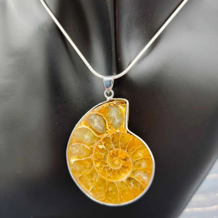 Spiral Circle Necklaces Ammonite Slices Pendant