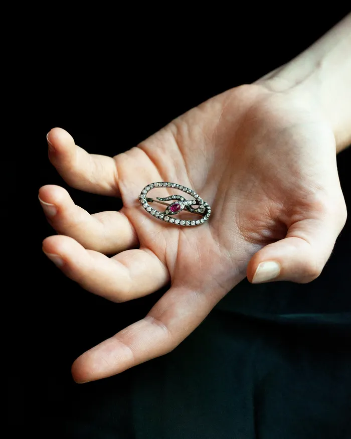 19th Century Diamond and Ruby Snake Brooch Bell Bird Antiques Necklaces