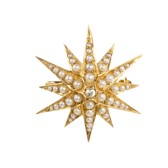 Bell and Bird Necklaces Victorian era pearl and Diamond Starburst Pendant
