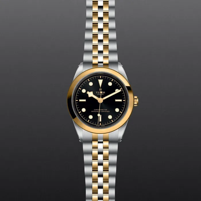 Black Bay 41 SG TUDOR Rings