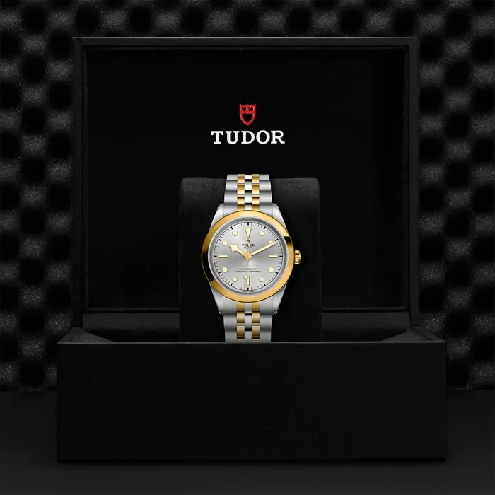 Black Bay 41 SG TUDOR Rings